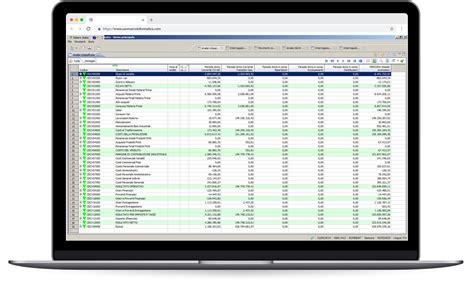 Interfaccia software di gestione contabile