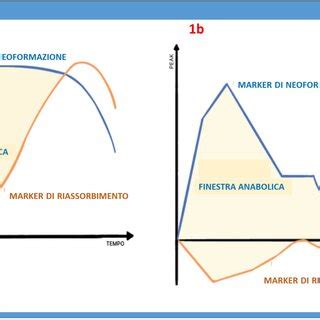 Illustrazione schematica dell'evoluzione normativa dell'art. 182-ter L.F.