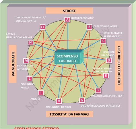 Diagramma che illustra le patologie pregresse e il Covid-19