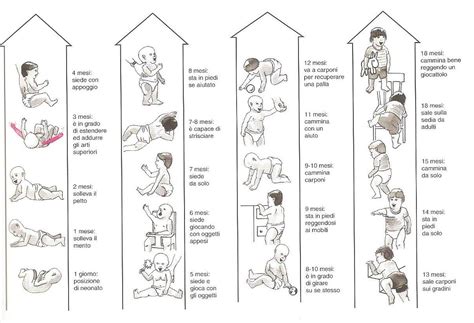 Crescita e sviluppo cerebrale nel bambino
