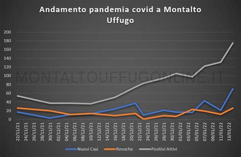 Grafico andamento contagi RSA 2021-2022