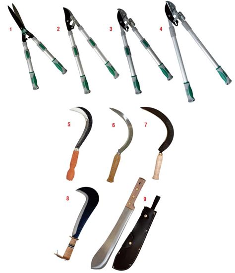 Giardiniere che utilizza attrezzature ecologiche per la cura del verde