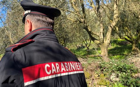 Carabinieri durante un'operazione antidroga
