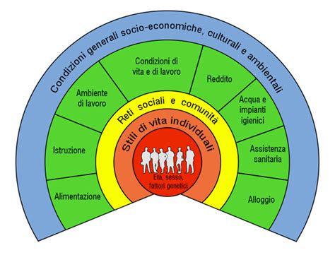diagramma che mostra i fattori che influenzano la salute dell'anziano