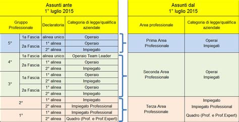 Schema che illustra i diversi livelli di inquadramento nel lavoro domestico