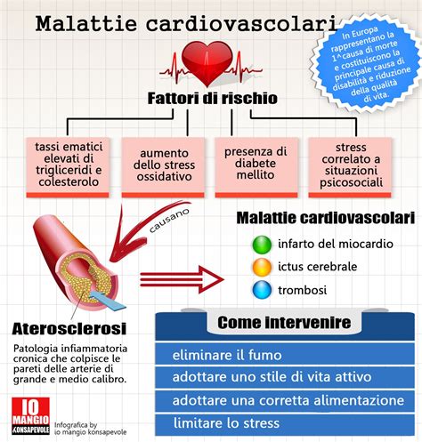 Infografica sul sistema cardiovascolare e i fattori di rischio