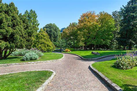 Immagine di un parco urbano ben curato con piante potate e aree pulite