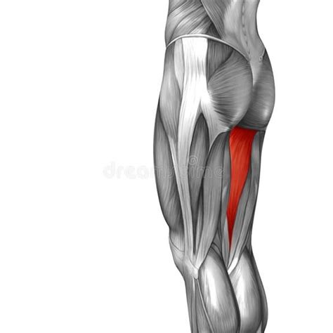 Illustrazione concettuale della vulnerabilità umana