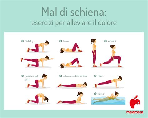 Esercizi di fisioterapia per il bacino e la schiena