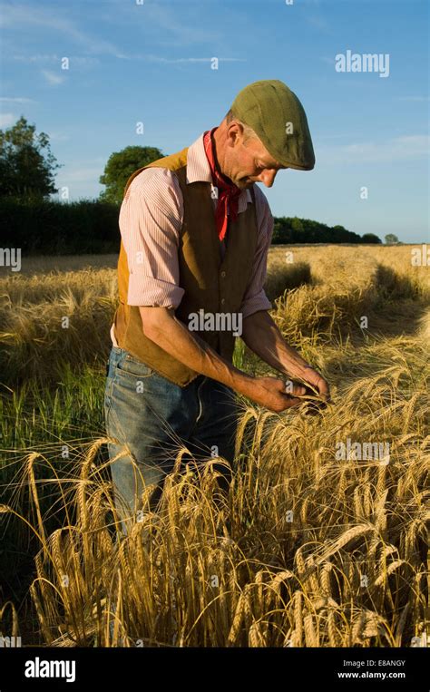 Giovane agricoltore che lavora in un campo
