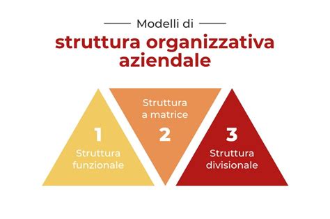 Struttura organizzativa di un'accademia scientifica