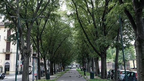 Vista panoramica di una zona residenziale tranquilla a Roma Sud, con viali alberati e case curate