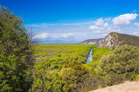 Paesaggio della Maremma con colline e mare